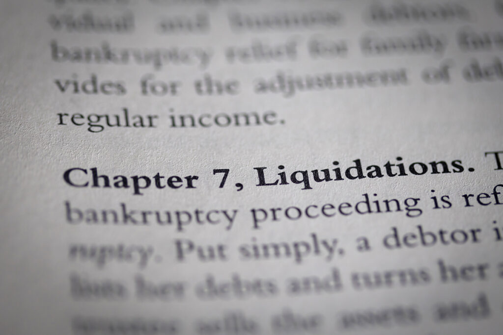 Chapter 7 Bankruptcy and SBA EILD Loans